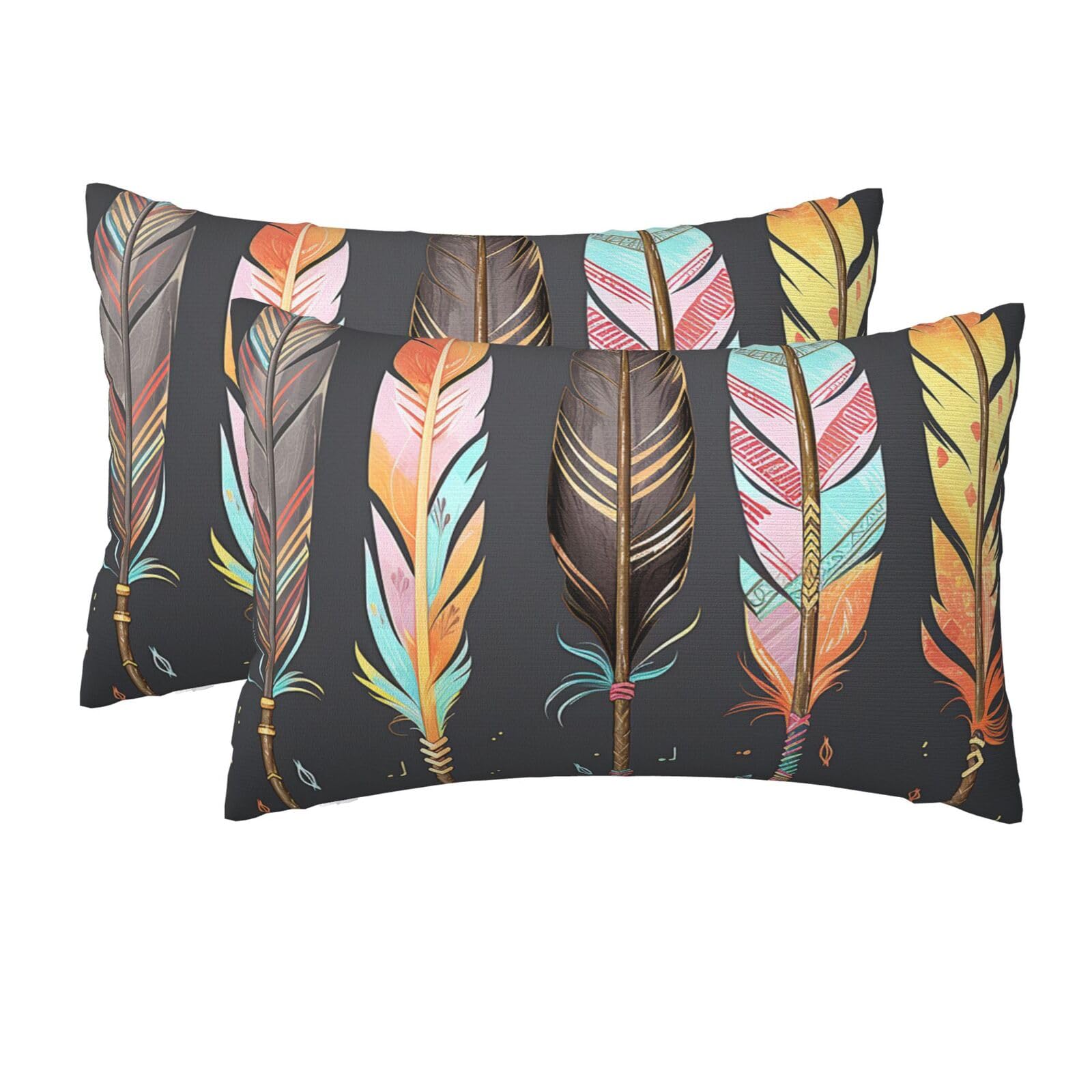 2 Pack Queen Size Pillow Cases for Hair and Skin Soft Breathable Pillow Case Covers with Hidden Zipper Feather Arrows Pillowcase 20x30 Inches Pillow Cover for Sleeping Gift