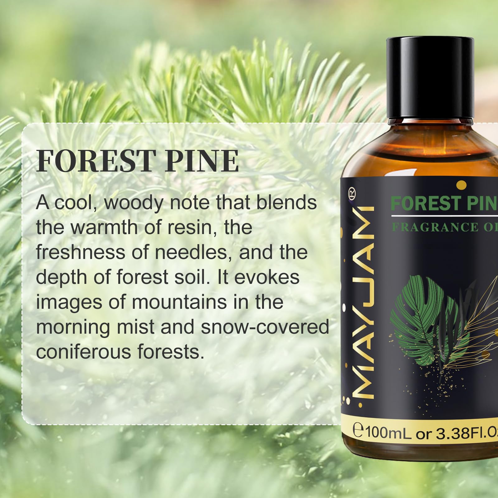 Amazon.com: Forest Pine Fragrance Oil Essential Oil, MAYJAM 3.38FL