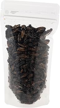 大容量⭐︎国産養殖 乾燥フタホシコオロギ 5kg 大容量⭐︎国産養殖