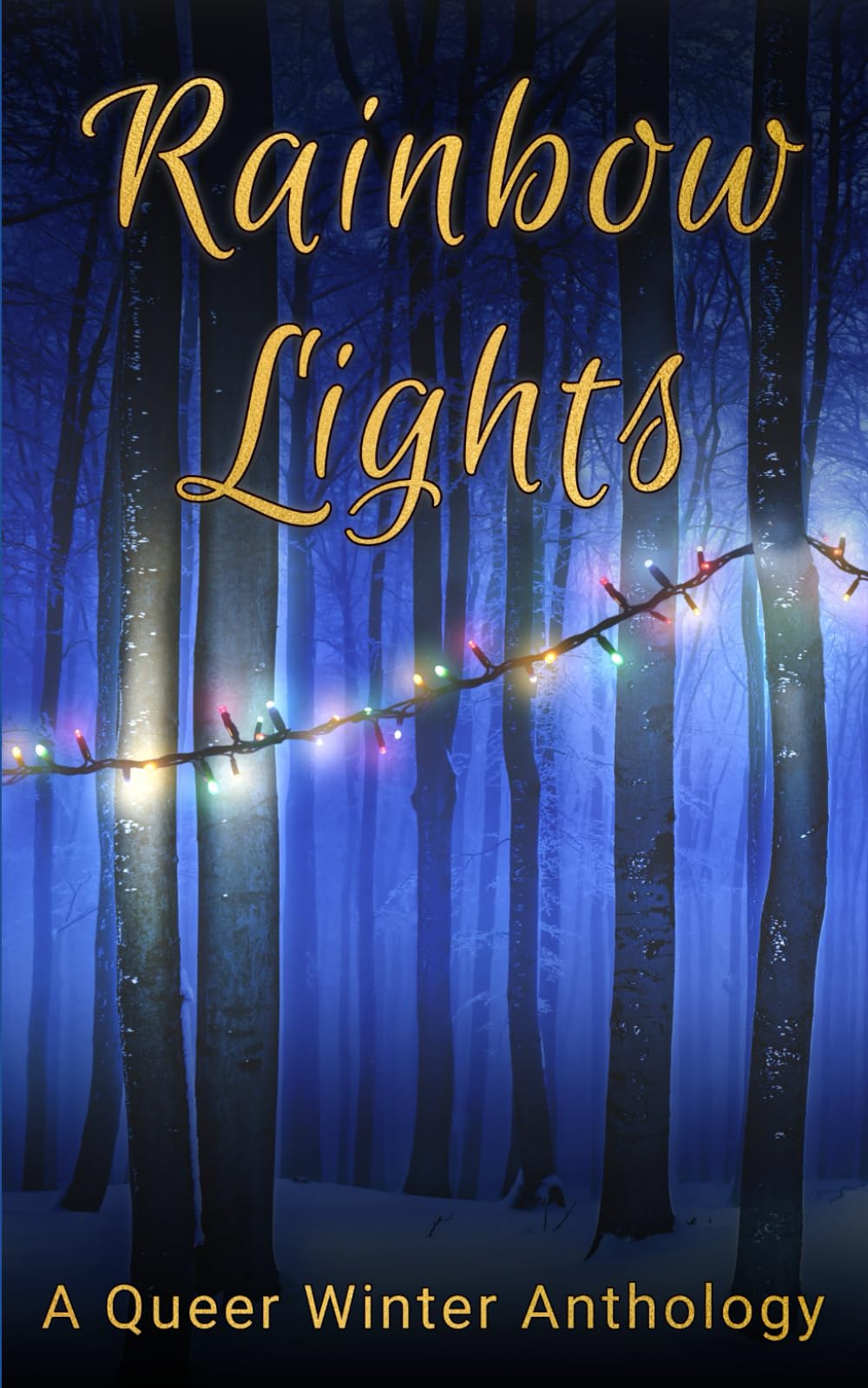 Rainbow Lights: A Queer Winter Anthology (QStory Northampton LGBTQIA Anthologies)