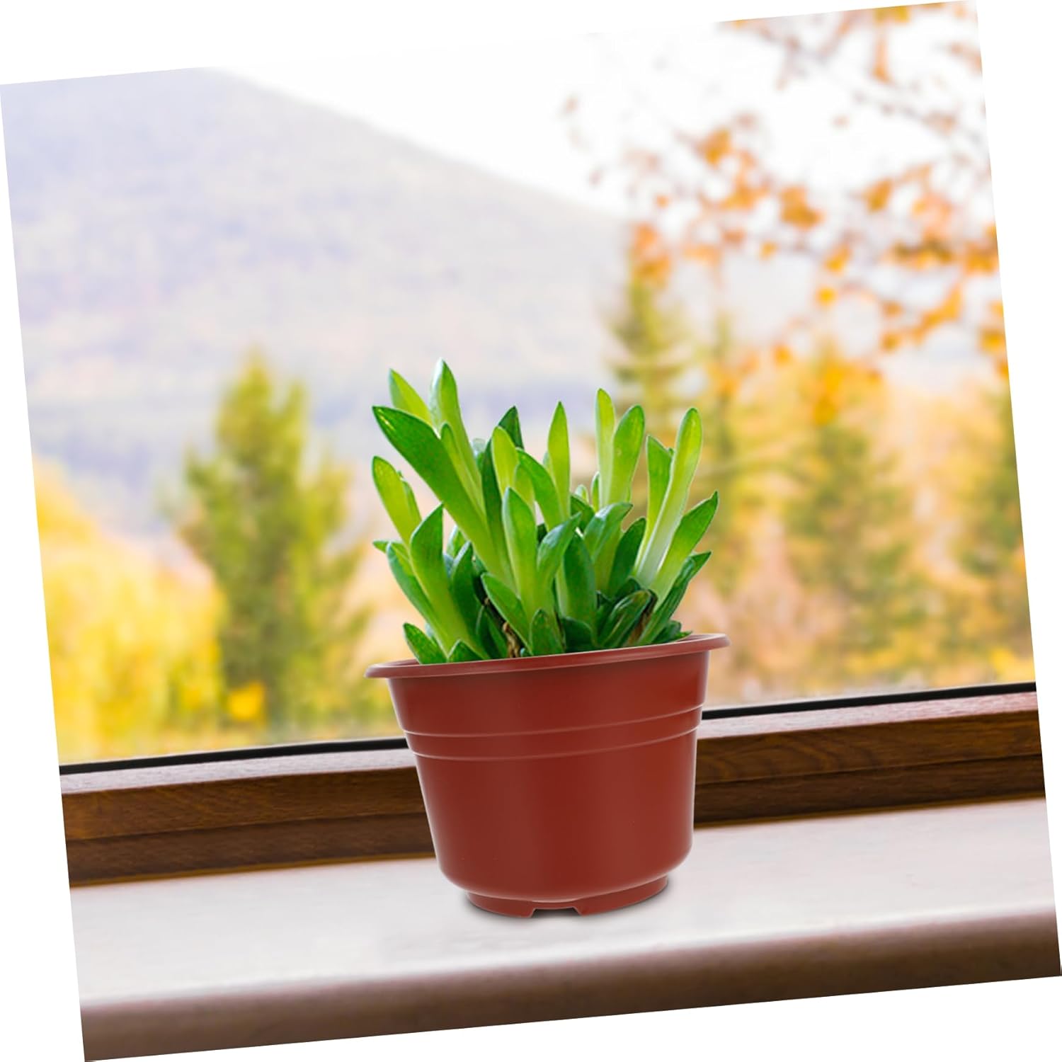 BESPORTBLE 50pcs Plastic Flower Pots for Dual Nursery Containers Drainage Compact Soft Planter for Gardening for Planting and Growing