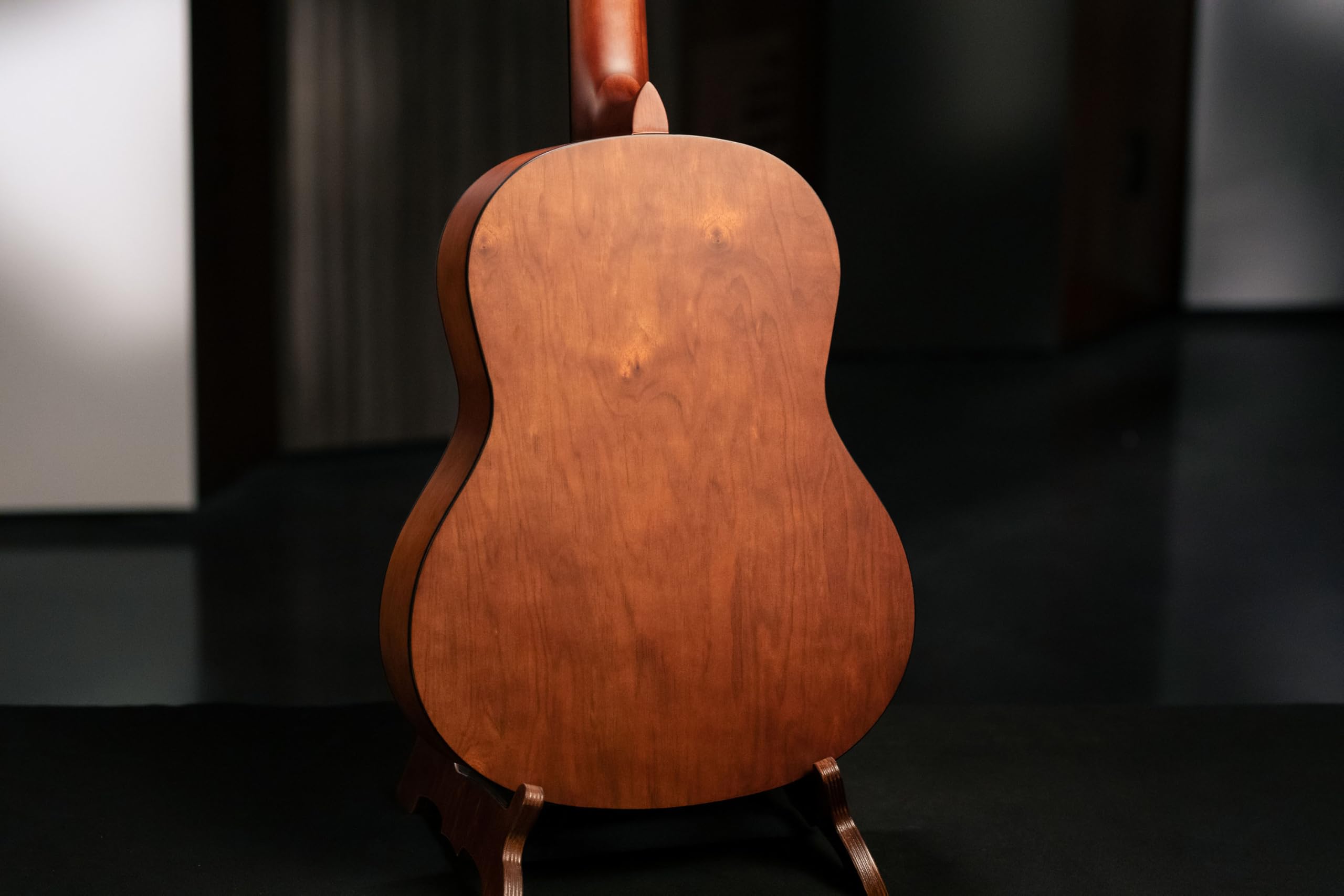 Ortega Guitars 4/4 Konzert Gitarre – Student Series – Zeder, Katalpa, Natur (RSTC5M) | Nylonsaitengitarre, Zederndecke & Katalpa-Korpus Satin-Finish