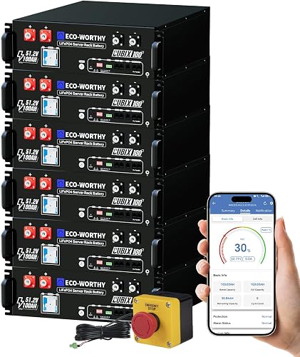ECO-WORTHY Cubix100 48V 600Ah six-pack server rack solar battery bank kit