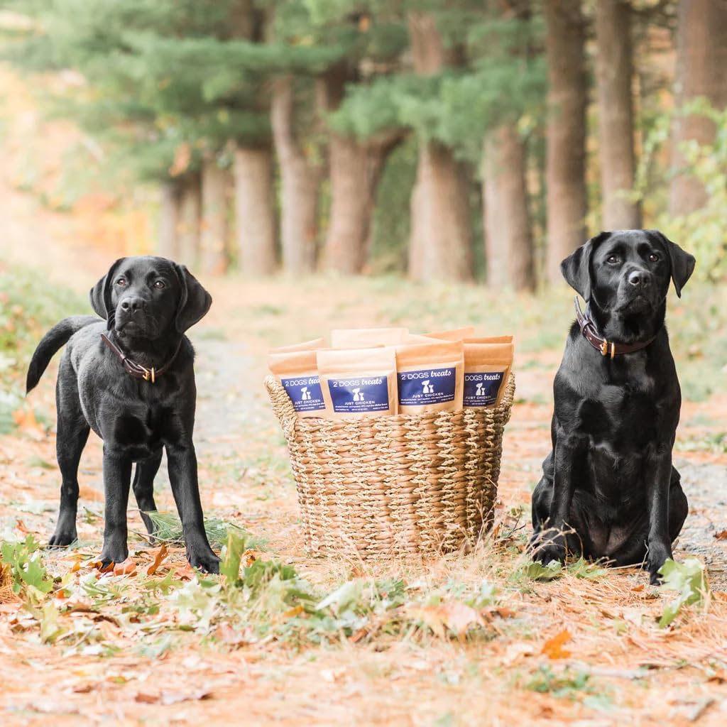 Just Chicken Jerky | 100% USA-Sourced, Single-Ingredient, Great for Sensitive Stomachs, Human-Grade USDA Chicken, Grain-Free, Allergy-Friendly, High Value for Training, Small Batch