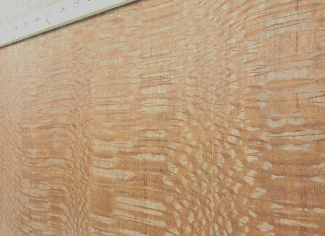 Lacewood Australian Pebble Figured Wood Veneer 40" x 47" on Paper Backer 1/40"