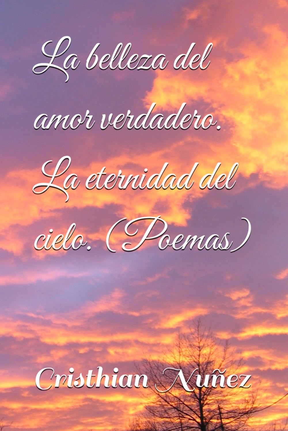 La belleza del amor verdadero. La eternidad del cielo. (Poemas)