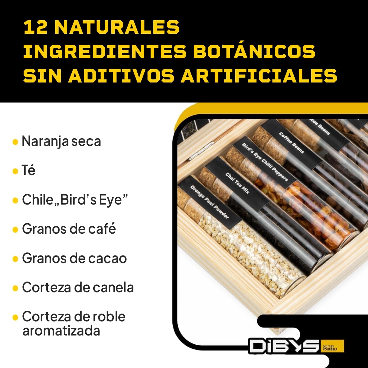 DIBYS Mini Kit Whisky para Regalar | 12 Especias para Cócteles | Con 4 Tarjetas de Recetas, Léxico y Elegante Caja | Set de Regalo para Hombres y Mujeres | Juego Hacer Whiskey Infusión en Casa