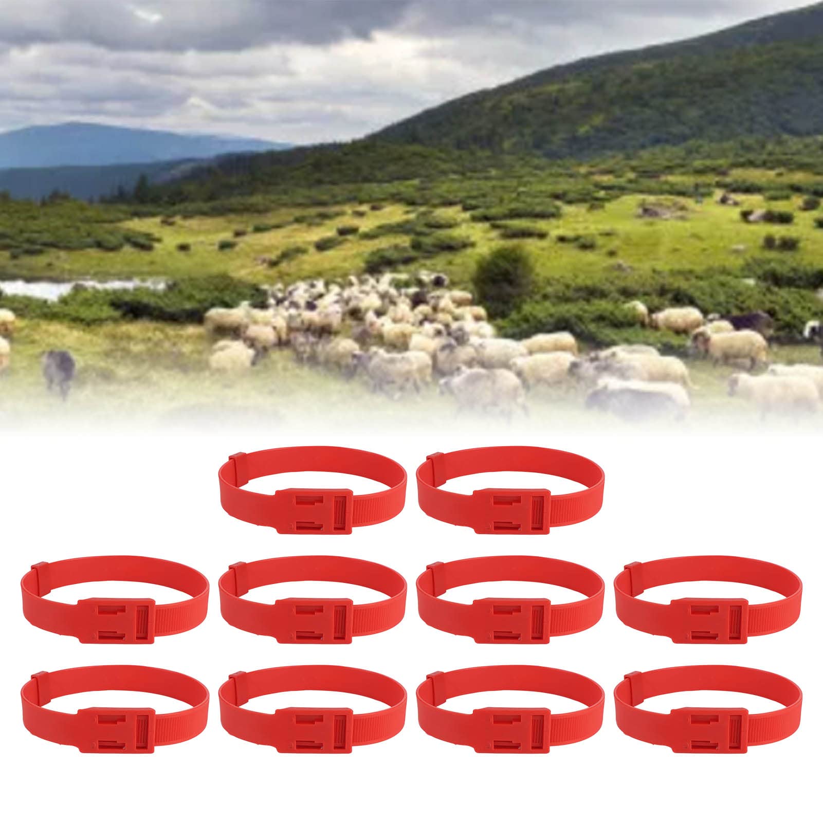 10 Pack Goat Collars, Cow Horse Sheep Grazing PU 23 Inch Adjustable Nylon Collar Set Pet, Livestock Collar for Small Farm Animal Goat Sheep Cow Horse Accessories, Multiple Function (Red)