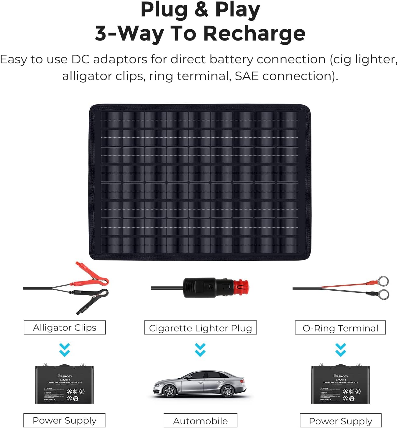 Renogy 10W Solar Trickle Charger Portable Battery Maintainer with Lighter Plug/Alligator Clips/Battery Cables for Car Boat Marine Motorcycles Truck : Automotive