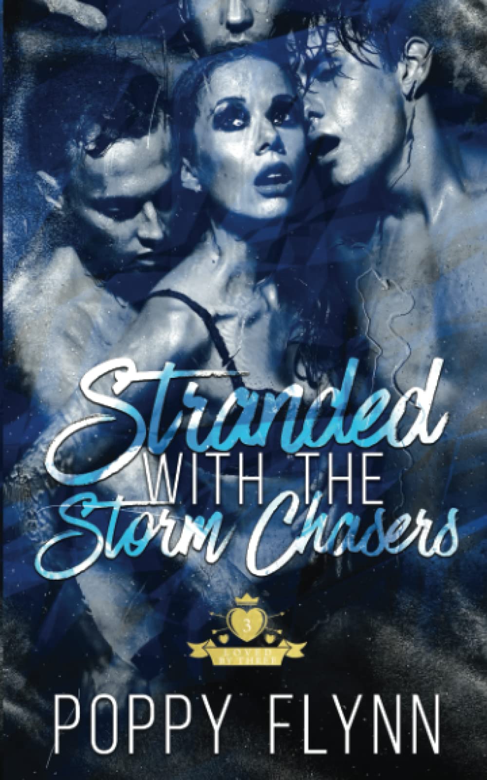 Stranded with the Storm Chasers (Claimed by Three)