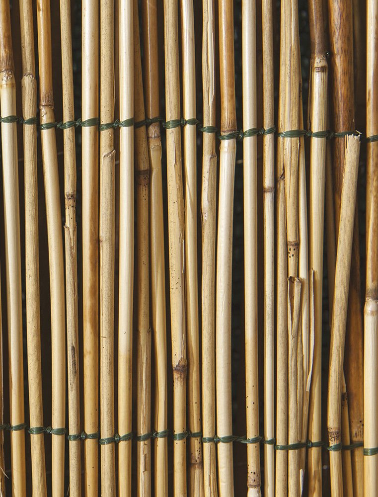 VERDELOOK Arella Cina in cannette Bamboo pelato, 2.5x4 m, bambù per recinzioni e Decorazioni