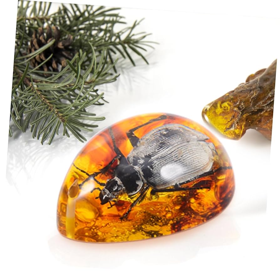 Amazon.co.jp: Hohopeti カブトムシ標入り樹脂琥珀ペンダント