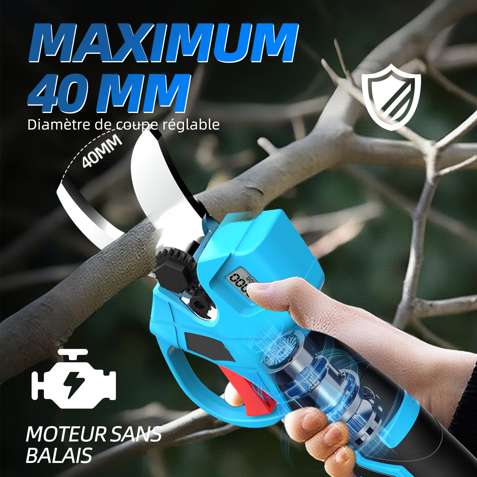 4 en 1 Tronçonneuse sur perche sans fil 15 cm (6″) Mini tronçonneuse avec télescopique (2,5 m) + Sécateur électrique 35 mm, incl. 2x21V batterie parfait pour l’élagage et la taille des branches