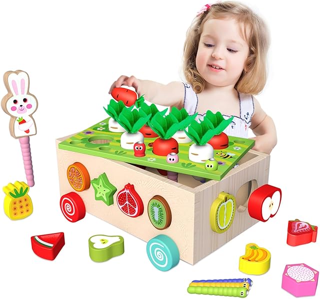 OSLINE Montessori Wooden Shape Colour Sorter Toys for 1 2 3 4 Year Old Boy Girl Gift,Educational Learning Toys for 1-5 Year Old,Toddler Birthday Present-Fine Motor Skills Toys for 1 2 Year Old