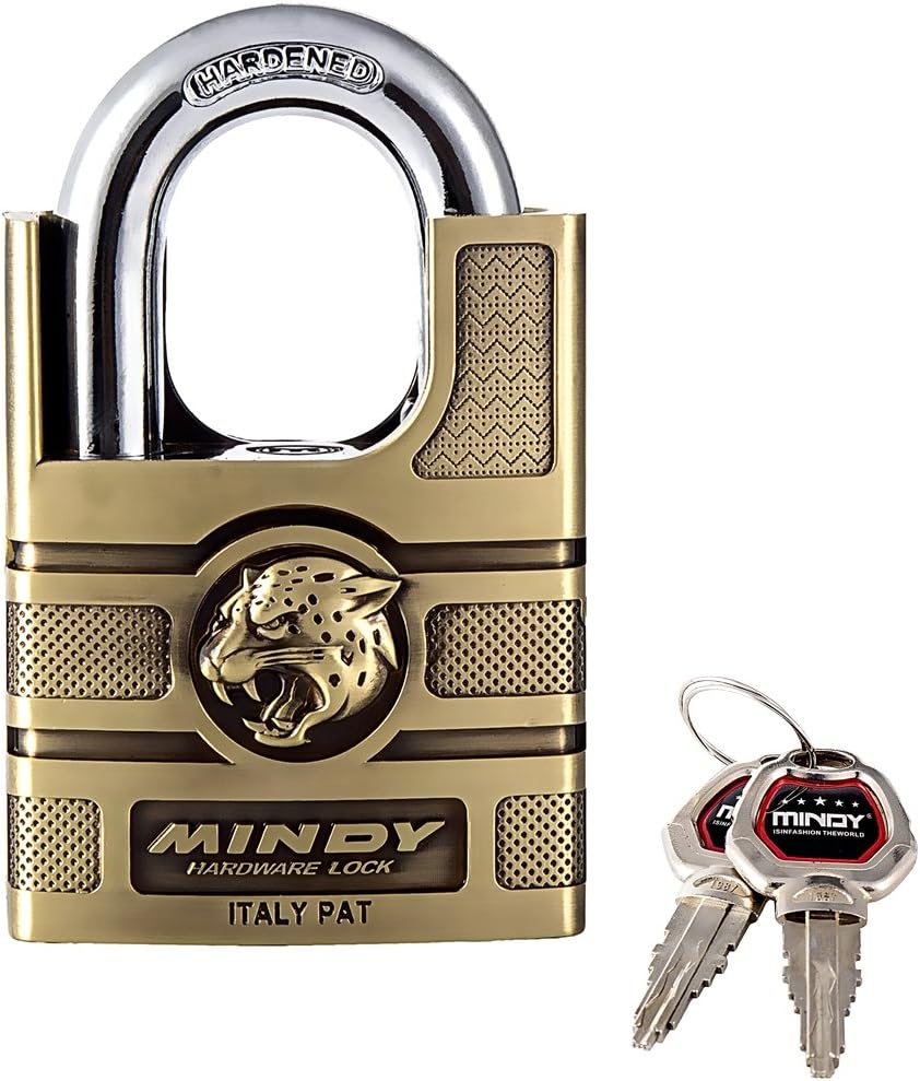 Mindy Lock with Keys Zinc Alloy Keyed Different Padlock,1-Pack, AF16-60