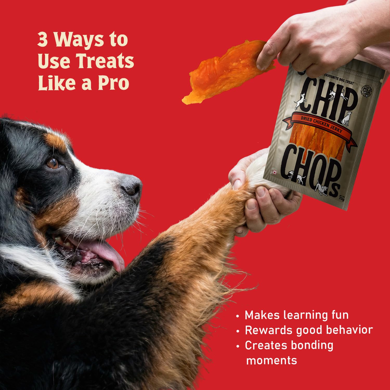 Chip Chops Sun Dried Chicken Jerky Dog Treats, Highly Nutritional & Digestible Snacks for Training and Rewards, Suitable for All Dog Breeds, 70g Each (Pack of 4) 4