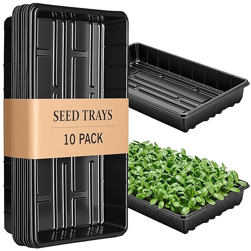 10 Plant Growing Trays,Plant Tray, Seed Tray, Seedling Tray, Propagation