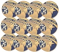 Vista 8 de SHOP AWARDS AND GIFTS Enamel Lapel Pins for Students Appreciation Reward Teacher Supplies Employees, Pack of 12, 3/4 Inch