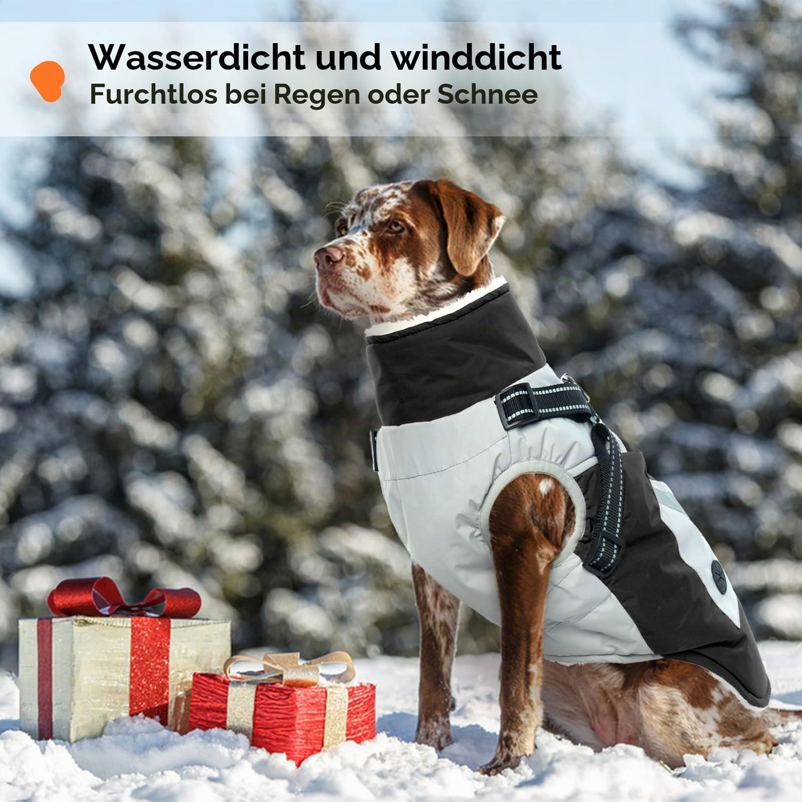 Hundemantel XXL, Hundepullover Grosse Hunde Hundemantel Labrador Winter Regenmantel Hund mit Geschirr Warm Coats & Jackets for Dogs(Schwarz, 2XL)