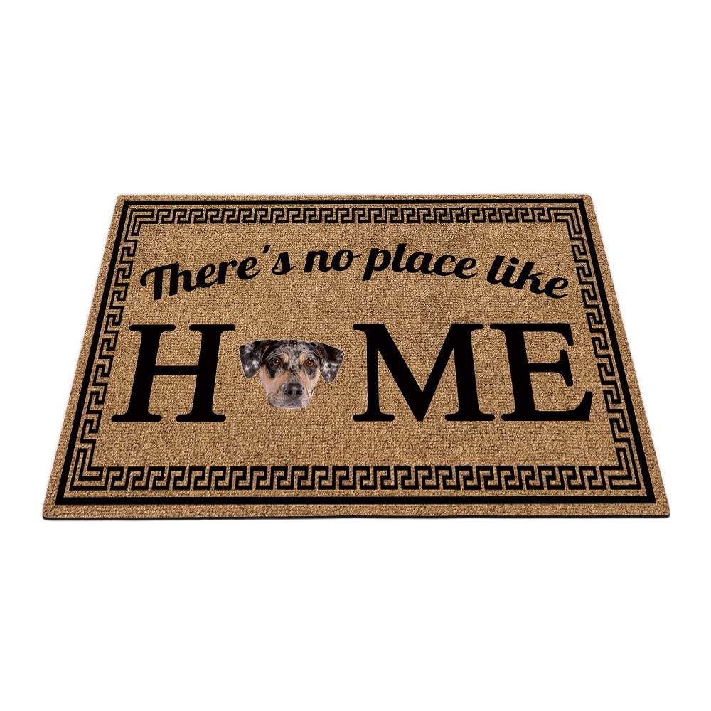 BAGEYOU There's no Place Like Home Doormat with Cute Catahoula Dog Welcome Floor Mat for Home Decor 35.4"x23.6"