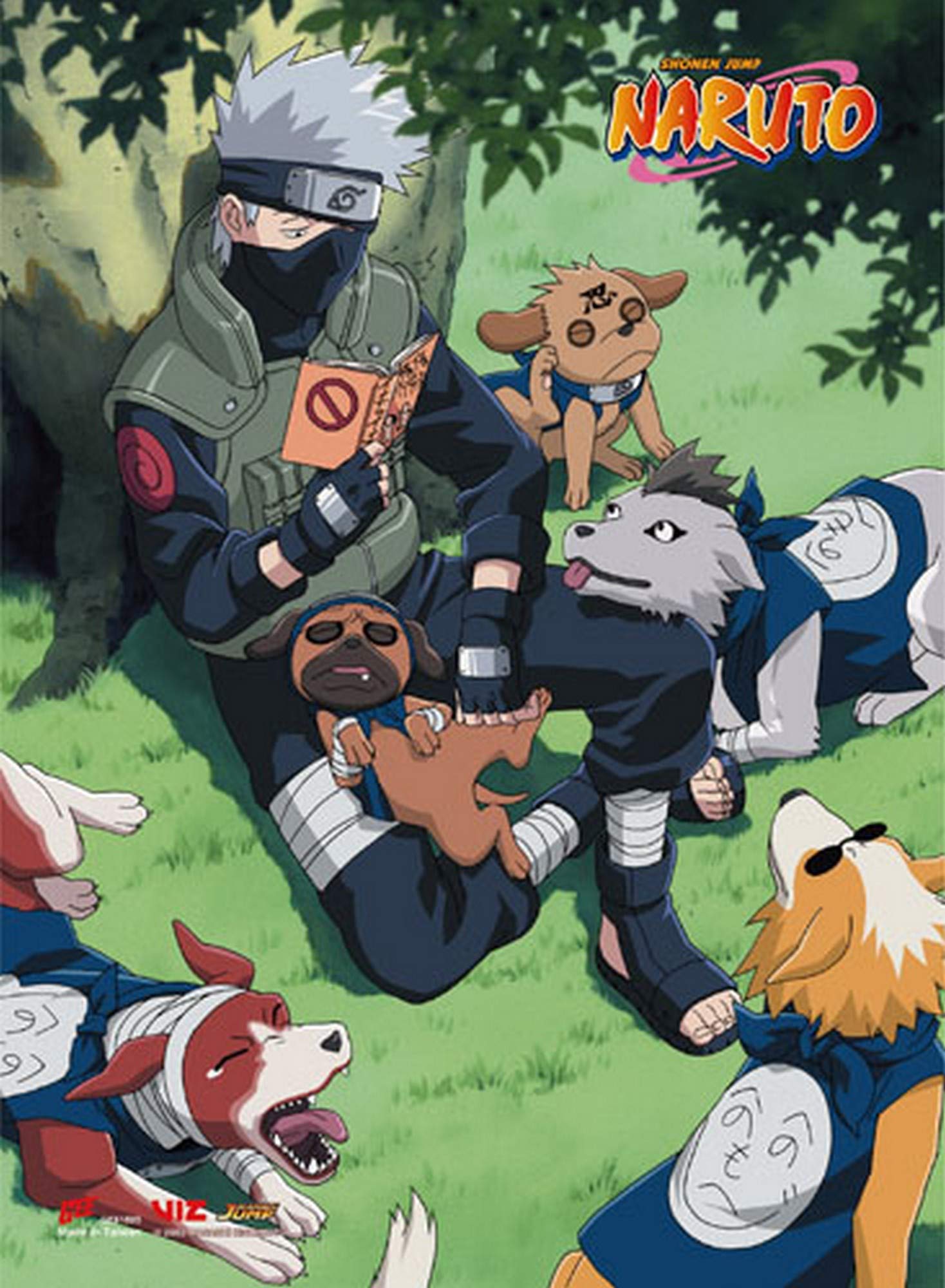Amazon Com Great Eastern Entertainment Naruto Kakashi Reading Ss Wall Scroll Multi Posters Prints