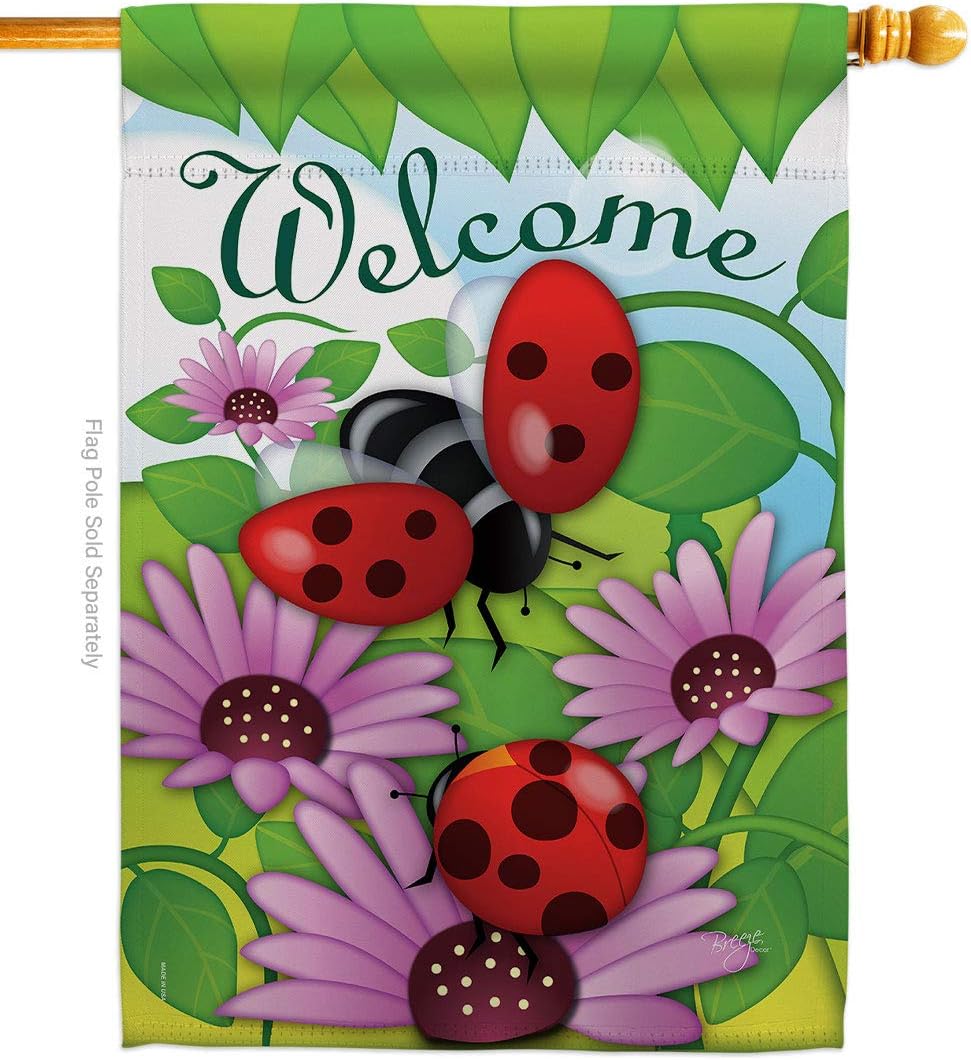 Breeze Decor H104071-BO Welcome Ladybug Garden Friends Bugs & Frogs Vertical, House Flag 28"x 40", Decorations Gifts Made in USA