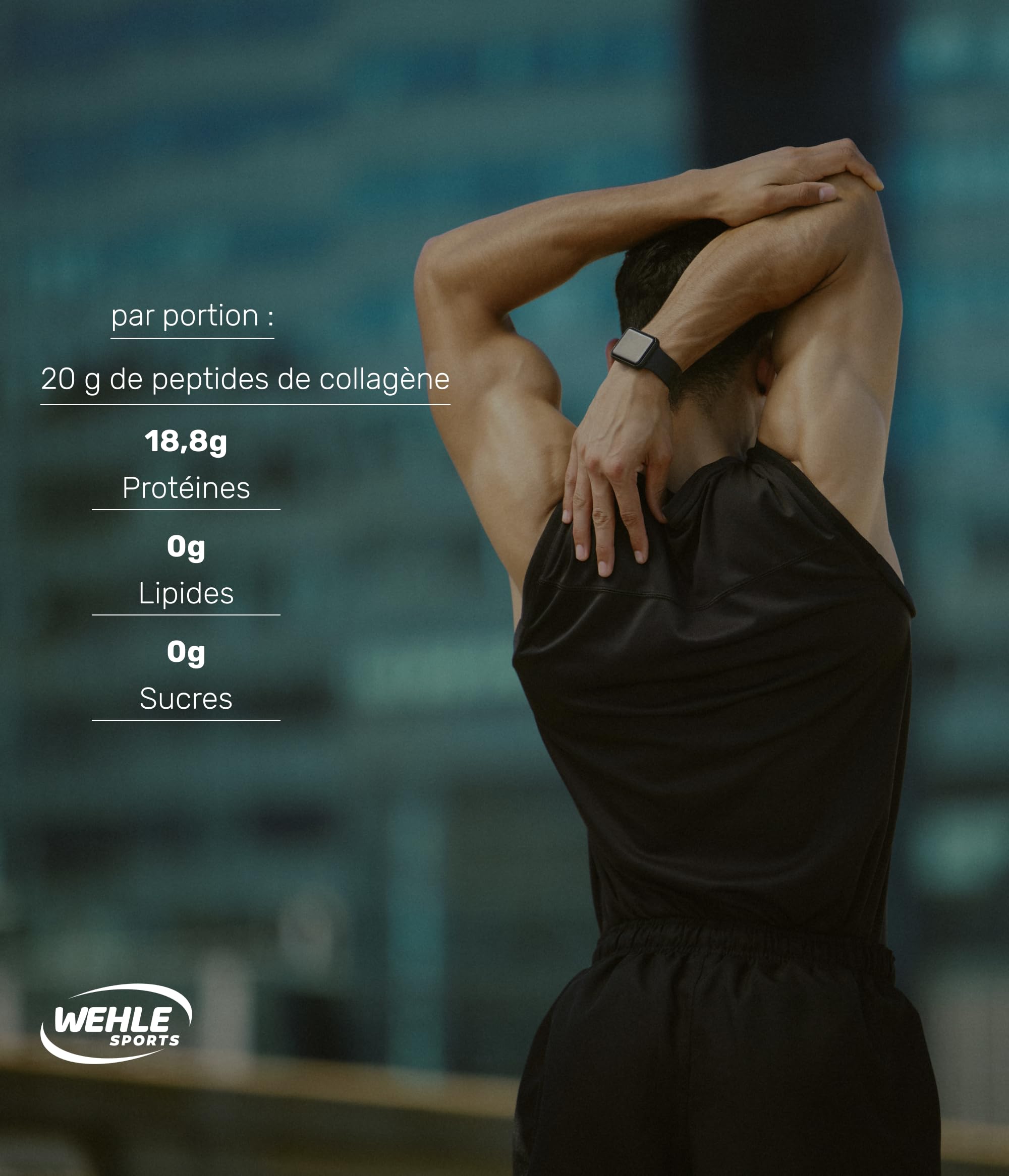 Collagene en poudre 500 g – Peptide de collagene types I, II & III (CollaPure®) – Collagène bovin nourri à l’herbe – Goût neutre – Fabriqué en Allemagne – Wehle Sports Collagen