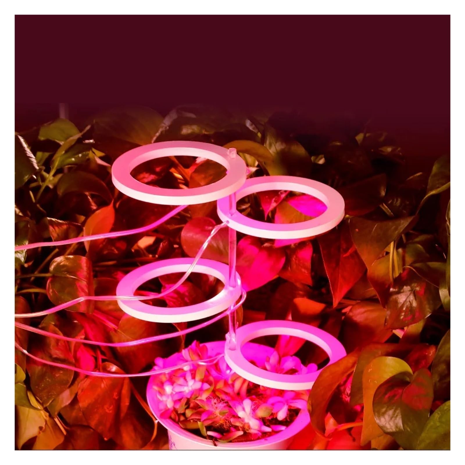 Lampada per Piante, LED Phytolamp Indoor Grow Lights Lampada for Piante a Spettro Completo for la Coltivazione di Semi di Fiori DC5V USB LED Luce di Crescita(Four Heads-RedBlue)
