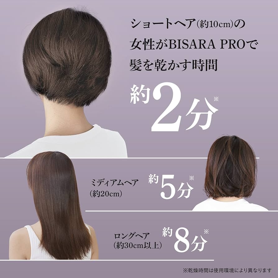 BISARA PRO ビサラ　プロ パープルシルバー2024年製 Amazon.co.jp : BISARA PRO (ビサラ プロ) ハンズフリー