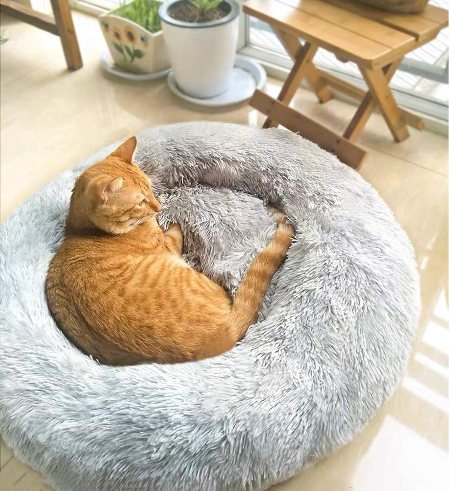 Zacht pluche hondenbed met afneembare hoes, dik gewatteerd huisdierkussen orthopedische kennel kattenmand voor kleine, middelgrote en grote honden, wasbaar - lichtgrijs, S Zacht pluche hondenbed met afneembare hoes, dik gewatteerd huisdierkussen orthopedische kennel kattenmand voor kleine, middelgrote en grote honden, wasbaar - lichtgrijs, S