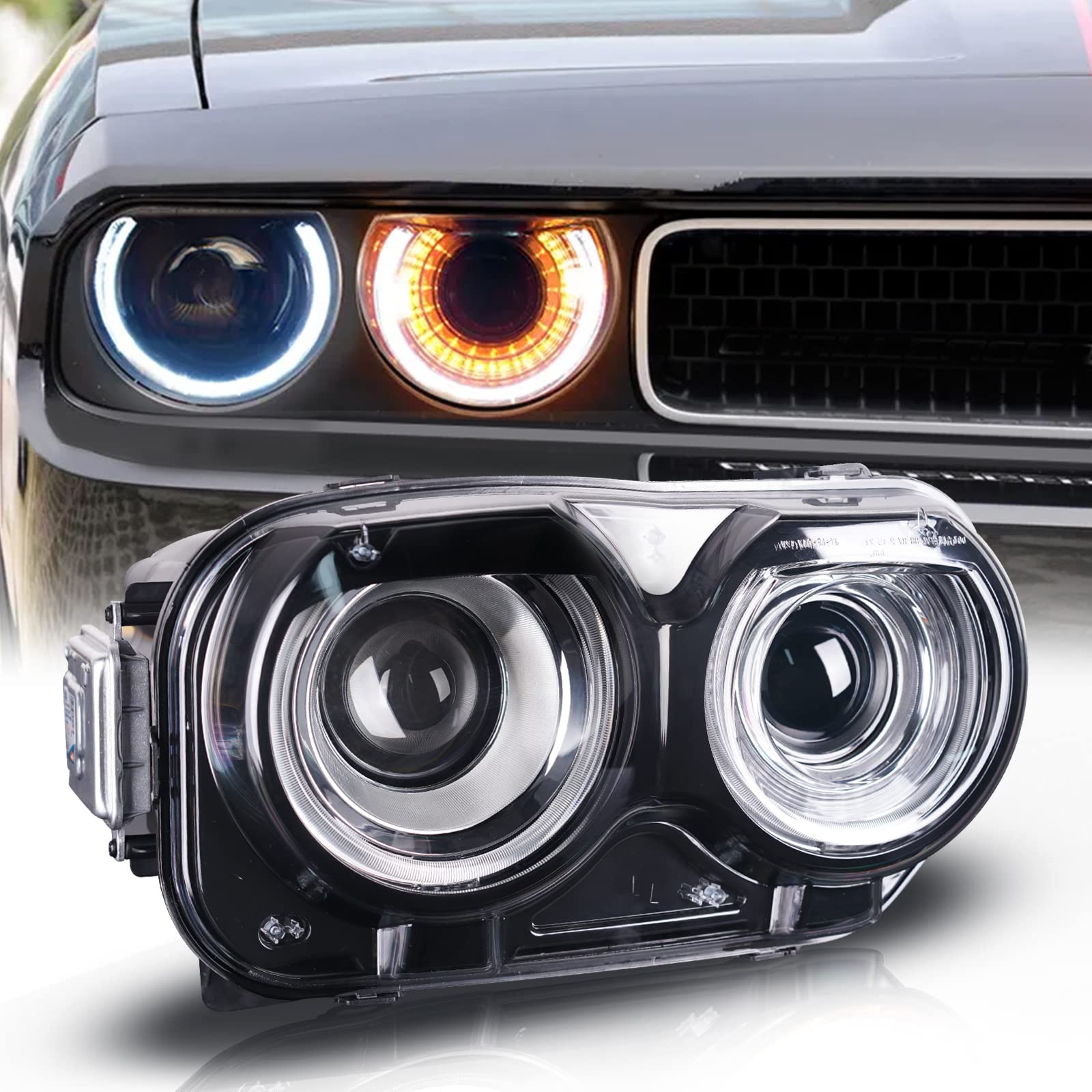 Amazon.co.jp: Tluuze - EBI D1S HID Xenon LEDプロジェクターヘッド