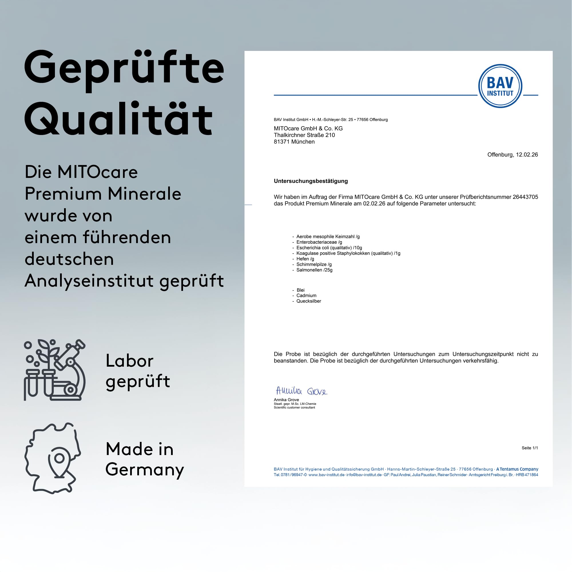MITOcare Premium Minerale - Mineralstoffekomplex mit allen notwendigen Mineralien - Magnesium, Zink, Selen, Eisen, Bor & Glycin - vegan - Monatspackung mit 240 Kapseln - Produziert in Deutschland