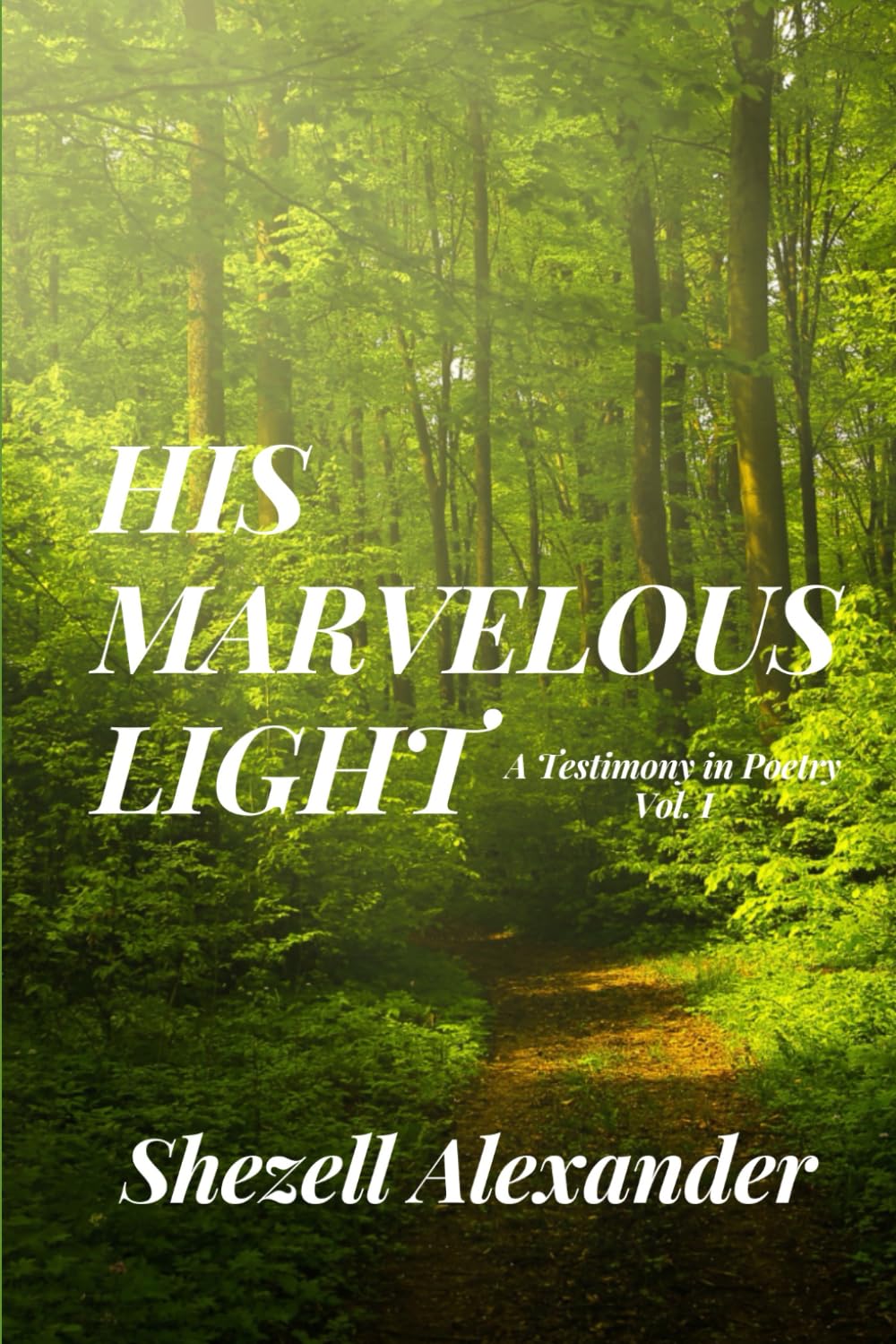 HIS MARVELOUS LIGHT: A Testimony In Poetry – Vol. I      Paperback – December 11, 2024