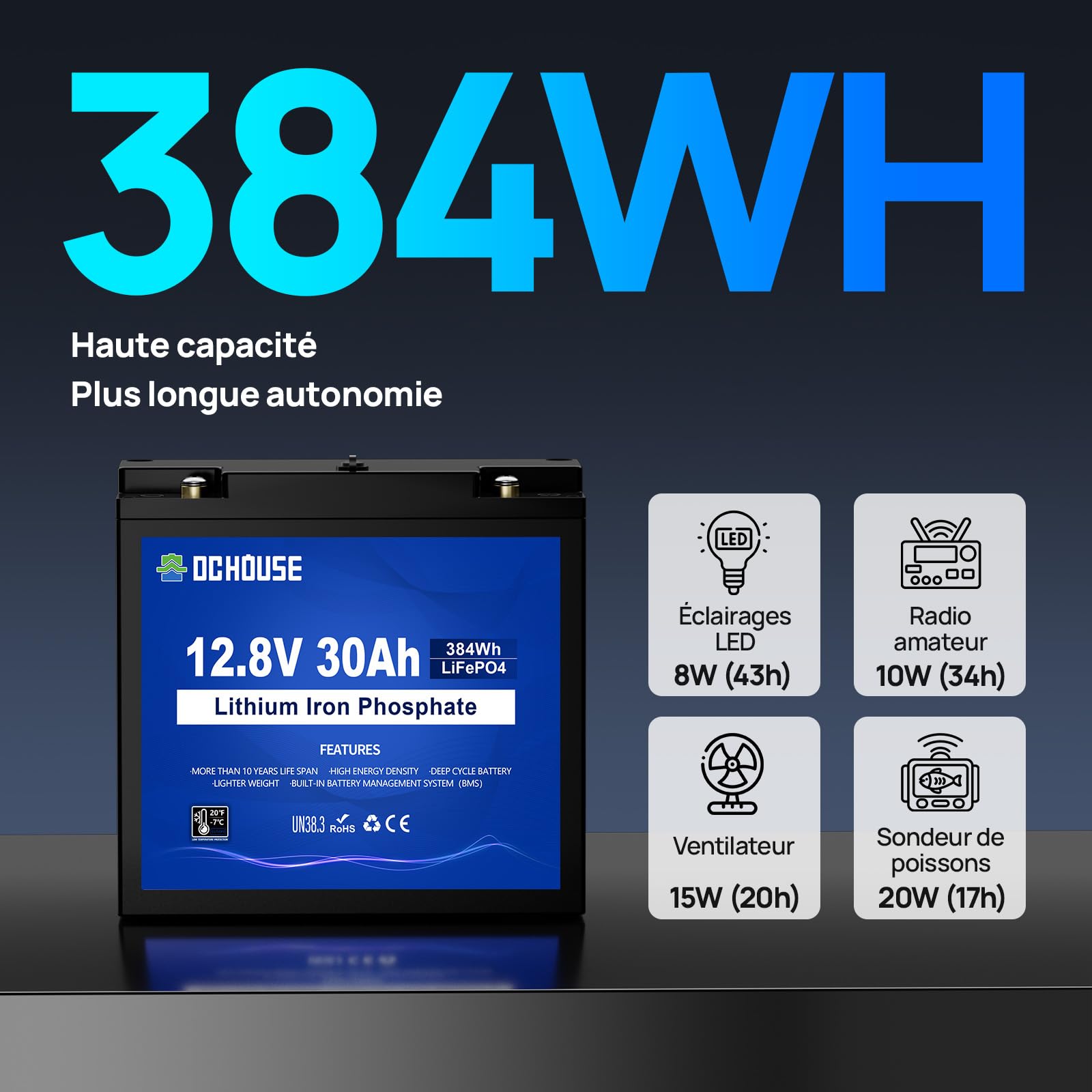 DCHOUSE LiFePO4 Lot de 2 Batteries au Lithium Rechargeables 12V 30Ah avec Cycle Profond 4000 Fois et Protection BMS pour Signal, Fauteuil Roulant, Solaire, Marine, Camping-Car, Chariot élévateur