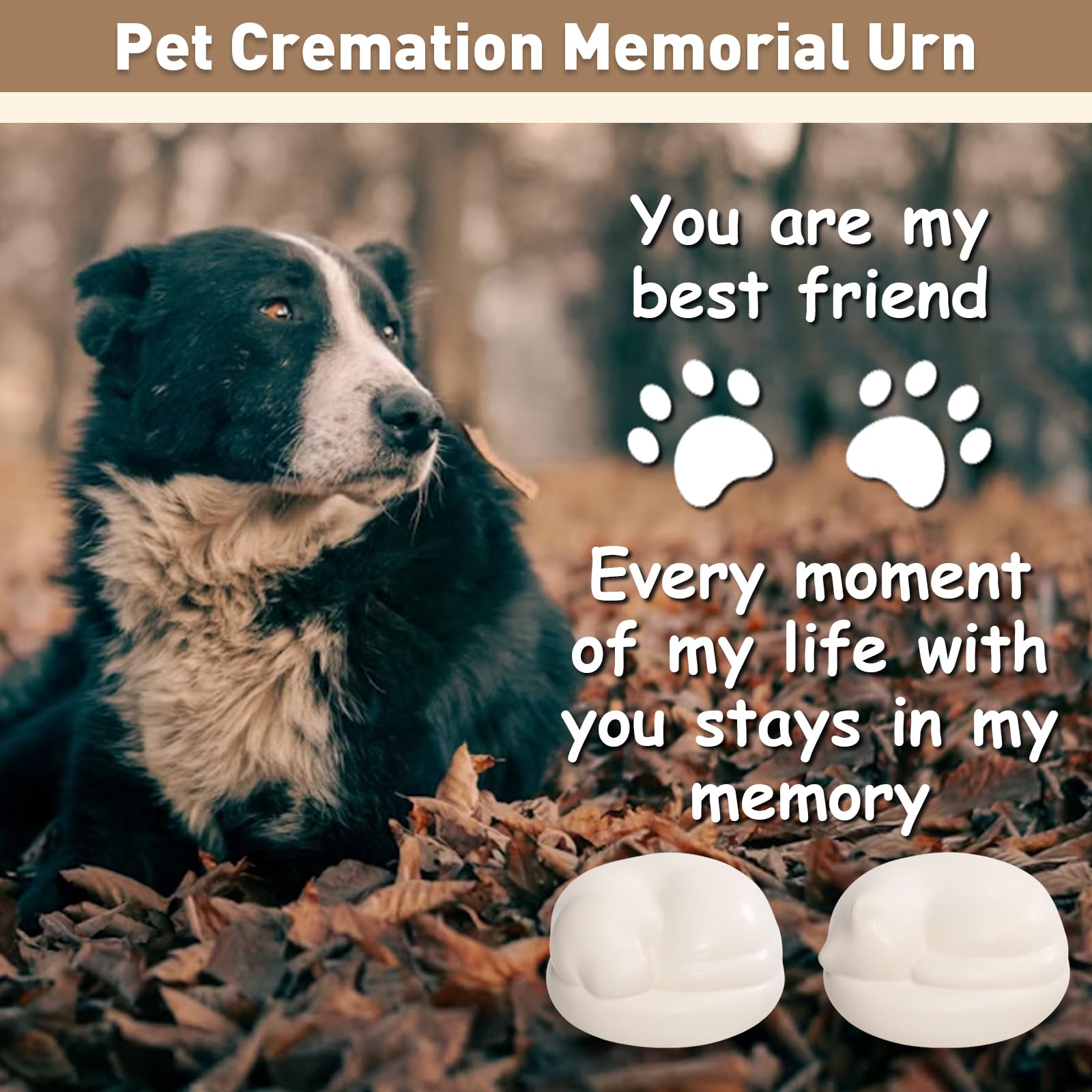 Urna conmemorativa de cremación para mascotas, contenedor de cerámica personalizado para cenizas de mascotas, para gatos, perros, tarro de recuerdo para recuerdo (gato)