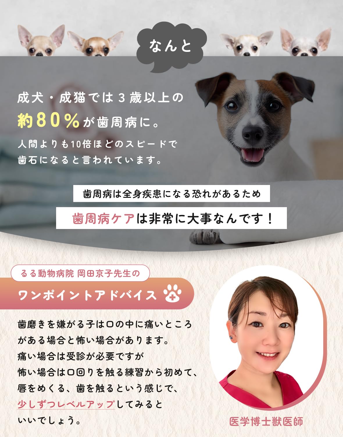 Amazon.co.jp: 【雑誌猫びより掲載】犬猫の全犬種・全年齢 木曽檜