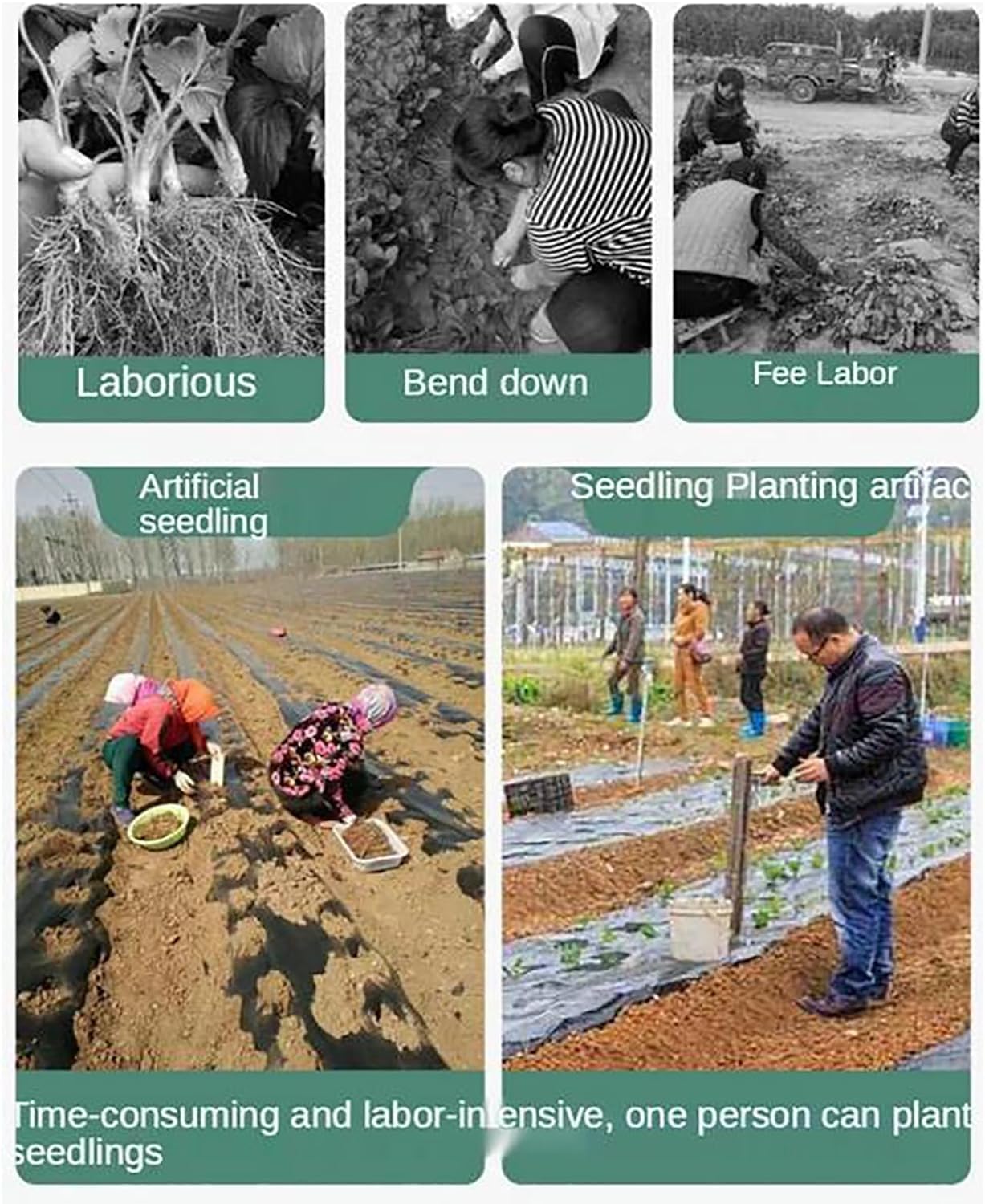 FAXIOAWA Trapiantatrice per piantine, Strumenti per fioriera a bulbo con Manico Lungo in Acciaio Inossidabile, Trapiantatrice Manuale per Piante Giovani di Verdure,A
