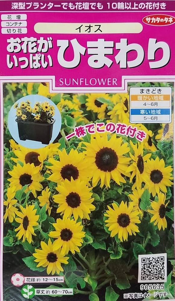 ひまわりの種サマ御依頼品！新浜レオン様セット ひまわりの種サマ御依頼品！新浜レオン様セット ひまわり栽培