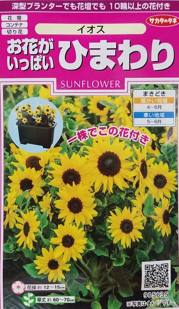 Amazon.co.jp: サカタのタネ お花がいっぱい ひまわり イオス : DIY
