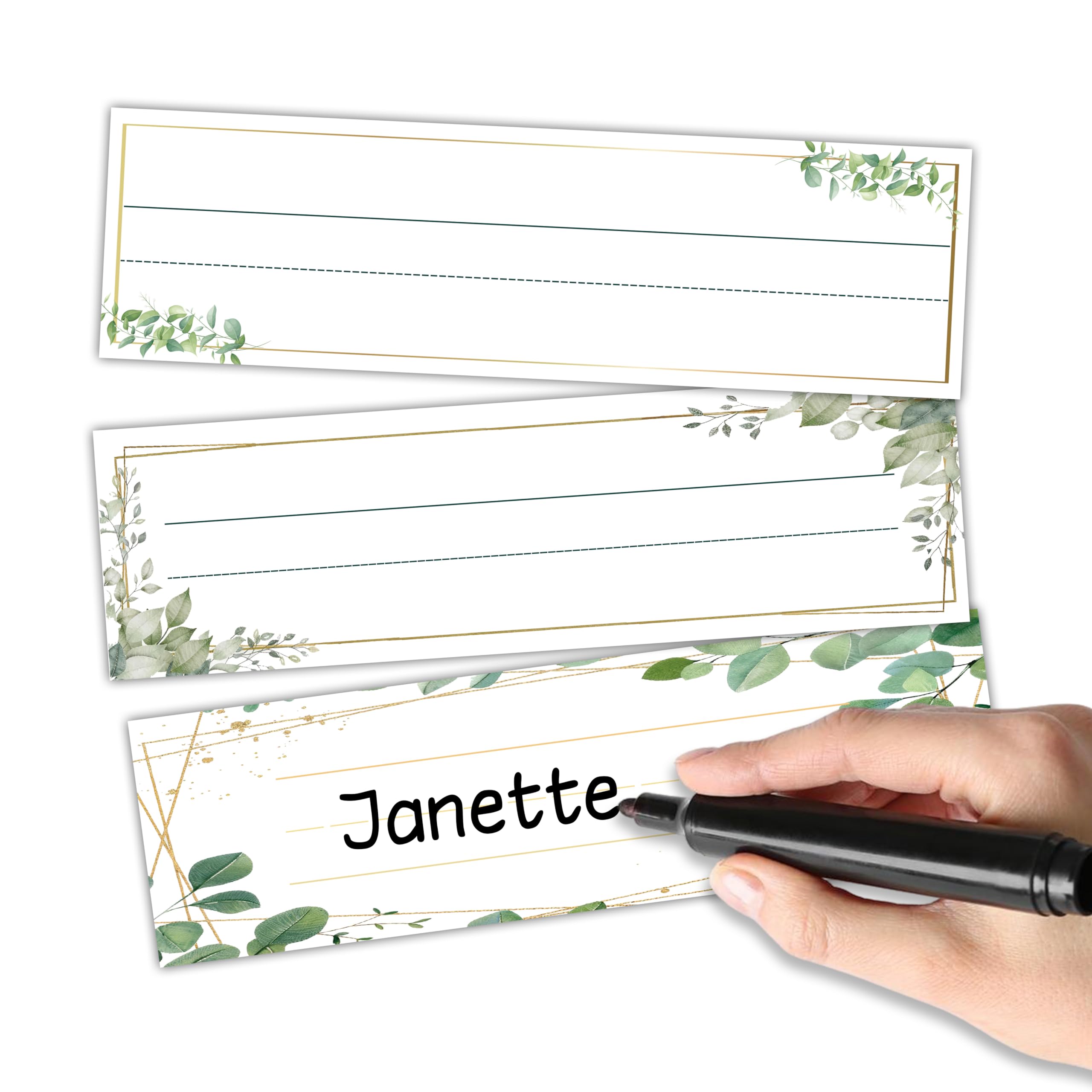 A03 Namensschilder für das Klassenzimmer – Grünpflanzen, Namensschilder für Klassenzimmer-Dekoration, 22,9 x 7,6 cm, Namensschilder für Lehrer, 1., 2., 3. Klasse, Kindergarten, Vorschule, Must-Haves