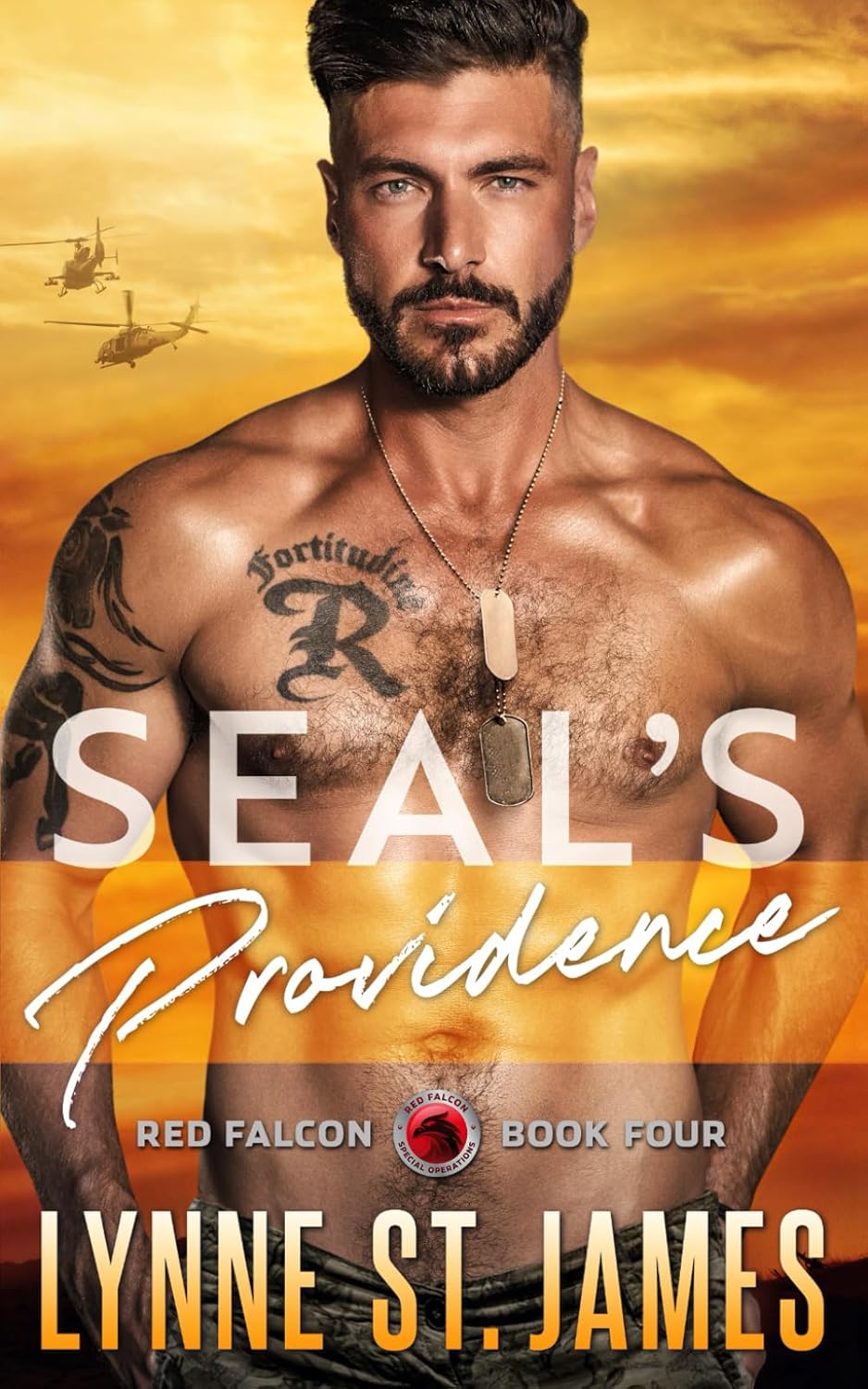 SEAL's Providence: A Later in Life Protector Romance: 4 (Red Falcon Team)