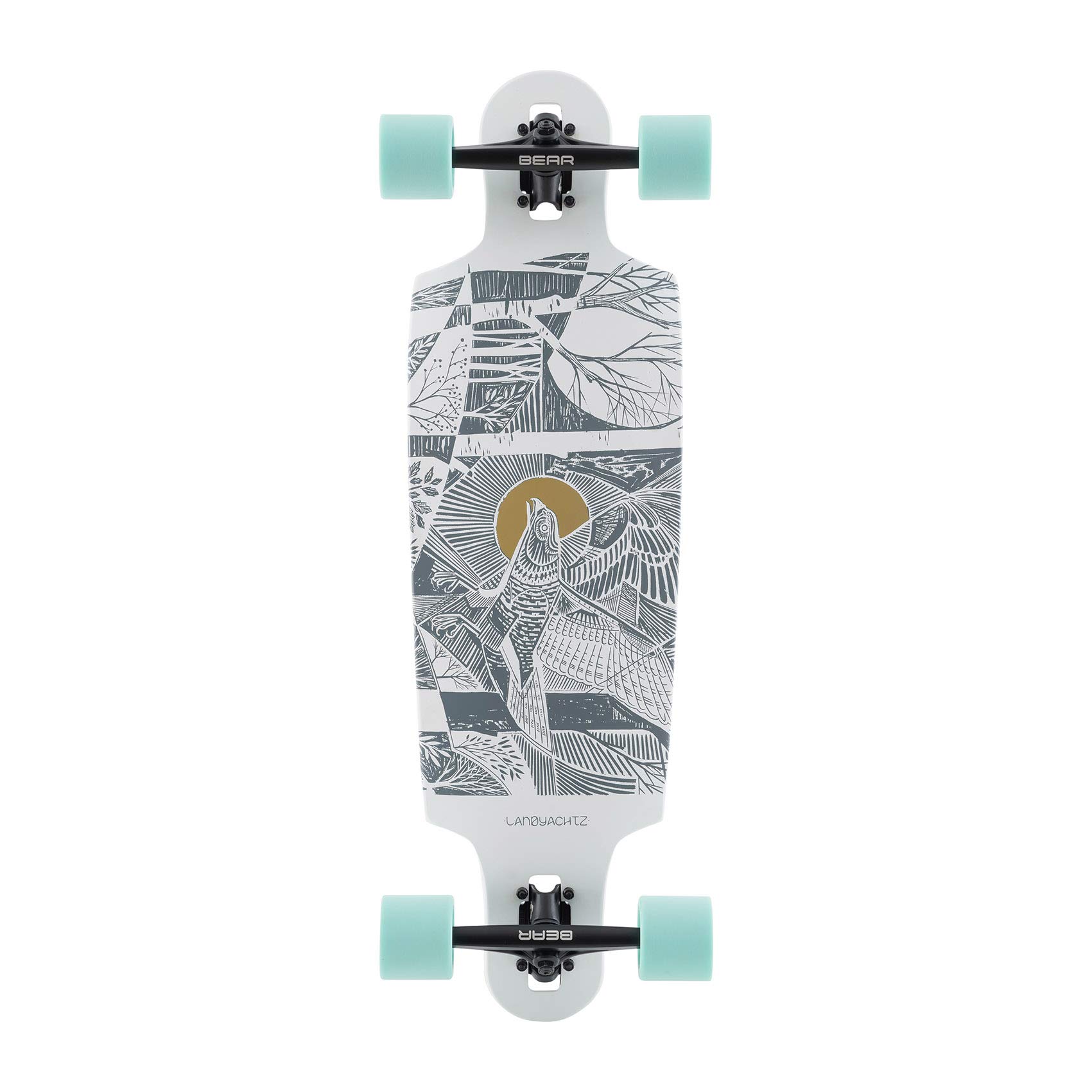 Landyachtz Drop Cat 33 Seeker Placa longa completa : Amazon