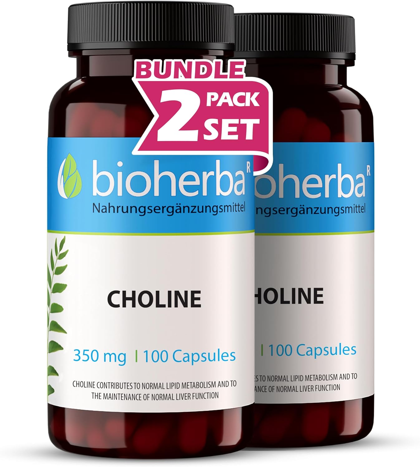 Choline Capsules - Pack of 200 High Dose with 350 mg Choline to Support Normal Fat Metabolism by BIOHERBA PZN 17193279