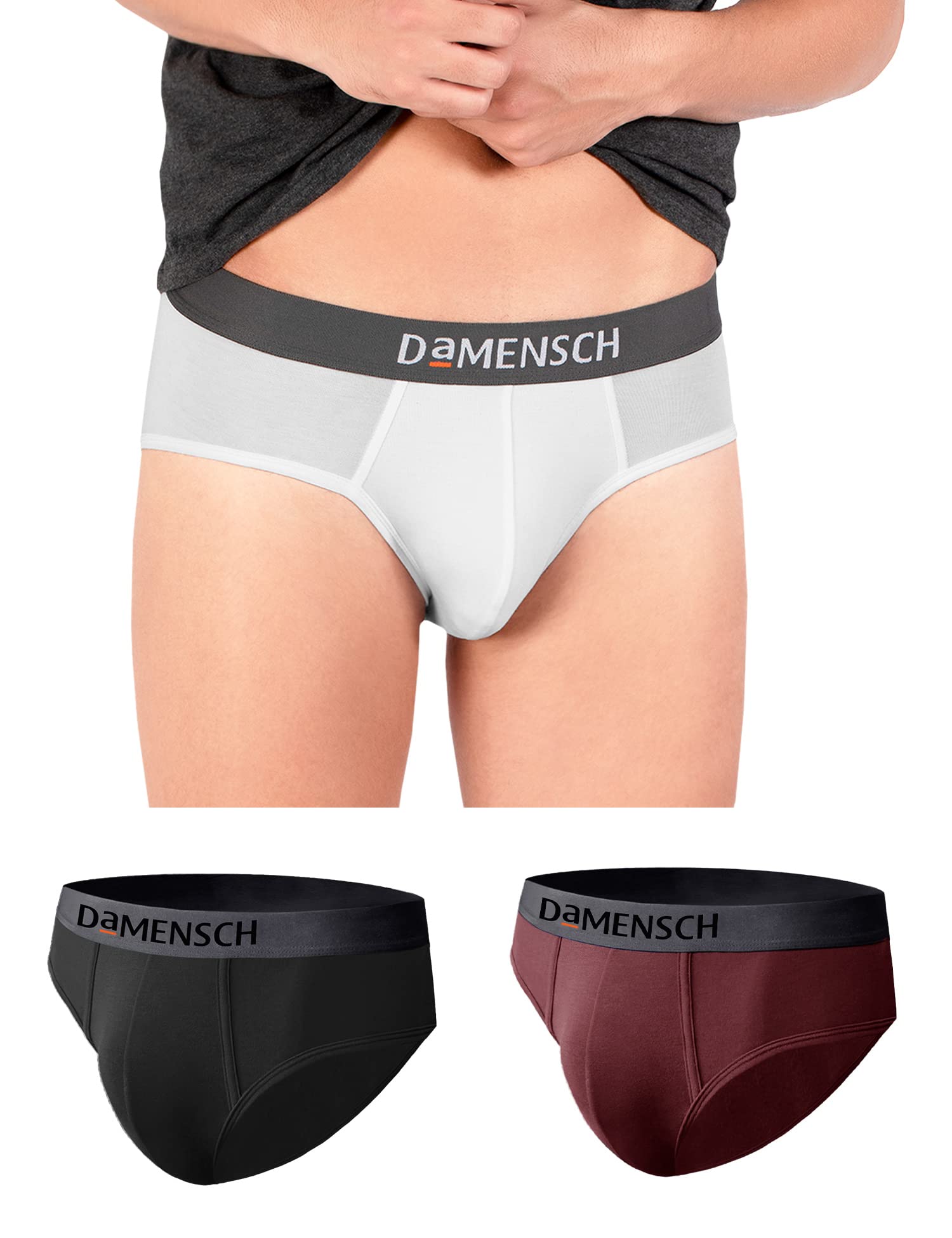 DAMENSCHMen's Briefs