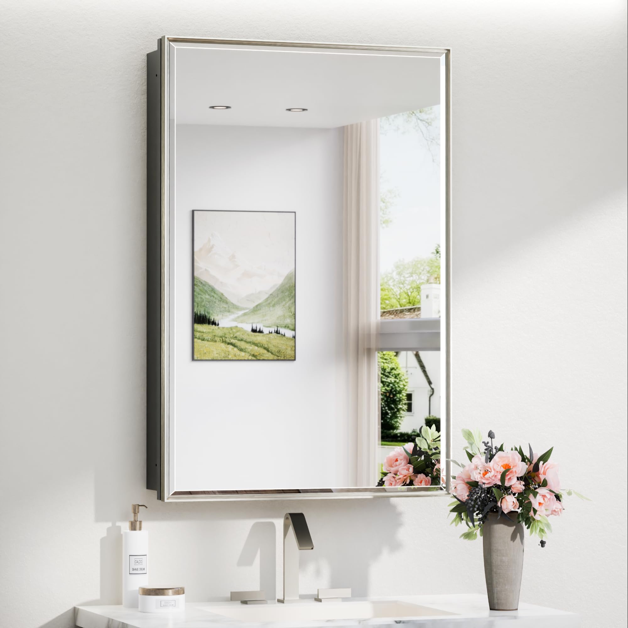 TokeShimi 24 x 36 in Brushed Nickel Medicine Cabinet, Fully Assembled