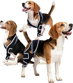 Acl Brace For Dogs Rear Leg Picks collage image 4