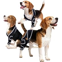 Aeegee Adjustable Dog Knee Brace for ACL tears and patellar Luxation, Providing Stable Support, Pain Relief, and Promoting Recovery, Suitable for Front and Rear Legs S