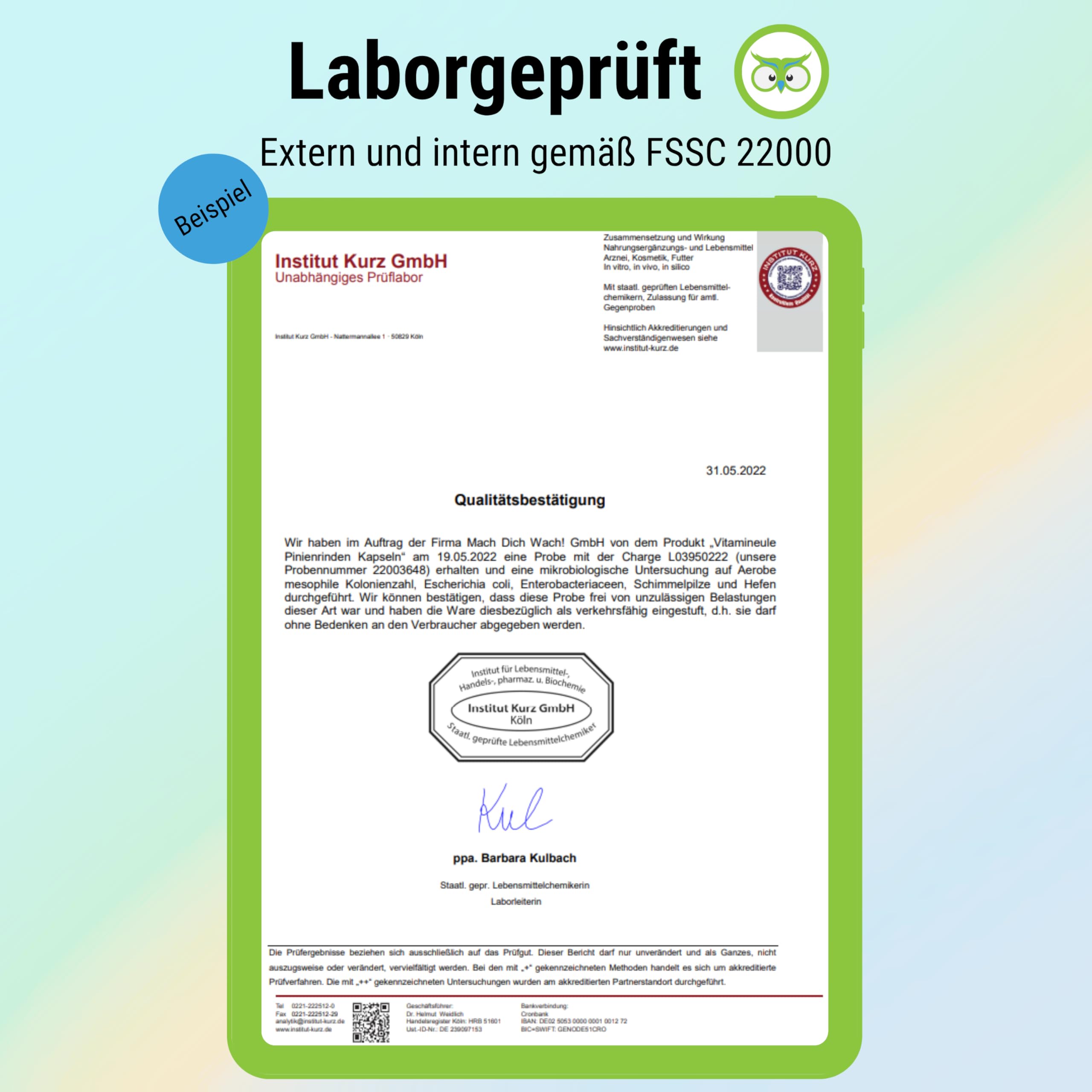 Pinienrindenextrakt Kapseln - hochdosiert 500 mg OPC (95%) - 527 mg 25:1 Extrakt (entspricht 13.175 mg Pinienrinden-Pulver) - bioaktiv & vegan - Produktion in Deutschland - ohne Zusätze - Vitamineule®