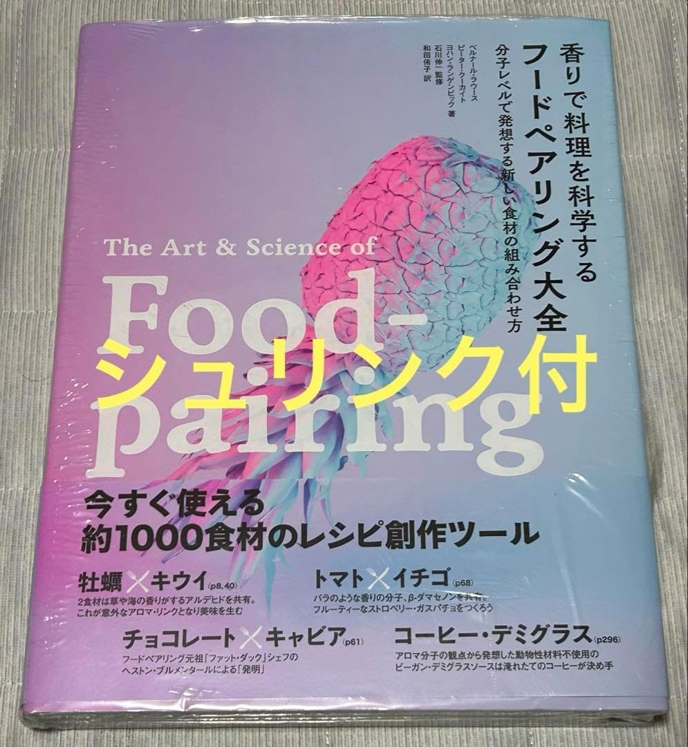 希少！アーツアンドサイエンス日本初個展カンソックン漆塗器 FRP