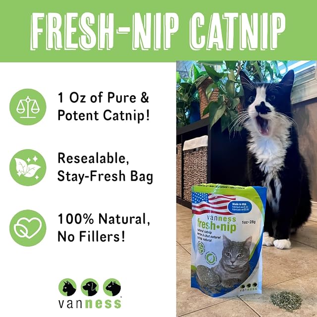 Foto 3 de 5 de Van Ness Fresh Nip - Gato orgánico